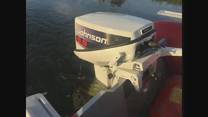 Johnson / Evinrude 9.9 2T on BRIG 330